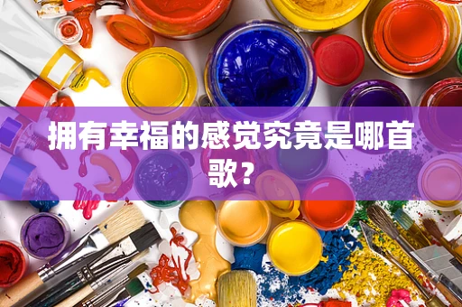 拥有幸福的感觉究竟是哪首歌？