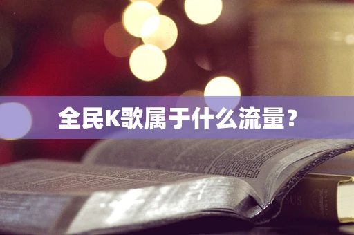 全民K歌属于什么流量？