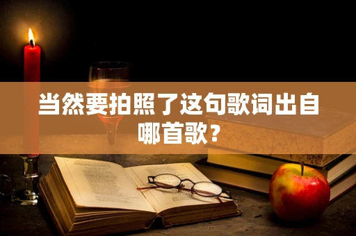 当然要拍照了这句歌词出自哪首歌？