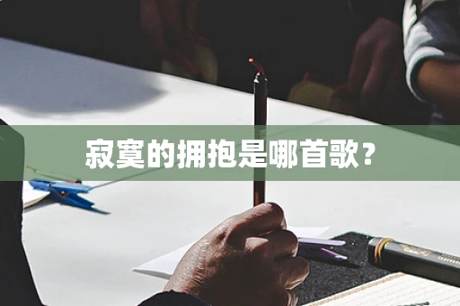 寂寞的拥抱是哪首歌？