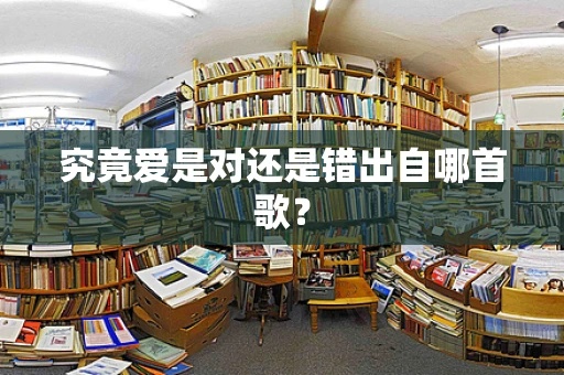 究竟爱是对还是错出自哪首歌？