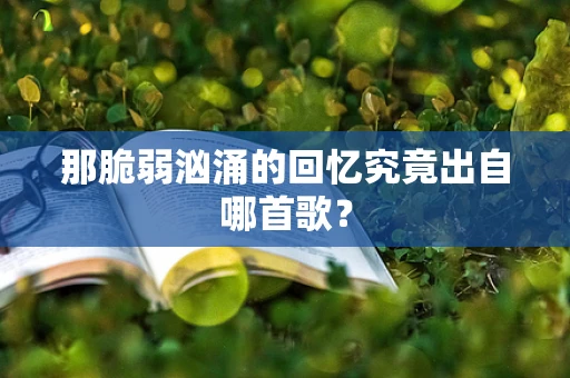 那脆弱汹涌的回忆究竟出自哪首歌？