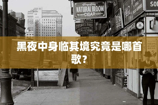 黑夜中身临其境究竟是哪首歌？
