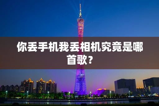 你丢手机我丢相机究竟是哪首歌？