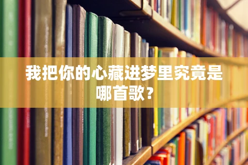 我把你的心藏进梦里究竟是哪首歌？