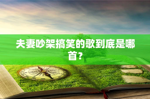 夫妻吵架搞笑的歌到底是哪首？