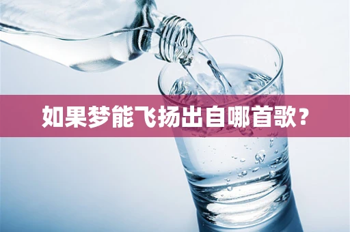 如果梦能飞扬出自哪首歌？