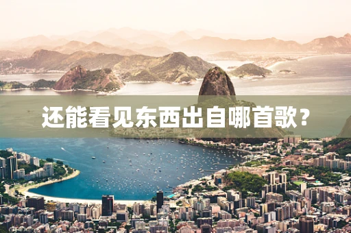 还能看见东西出自哪首歌？