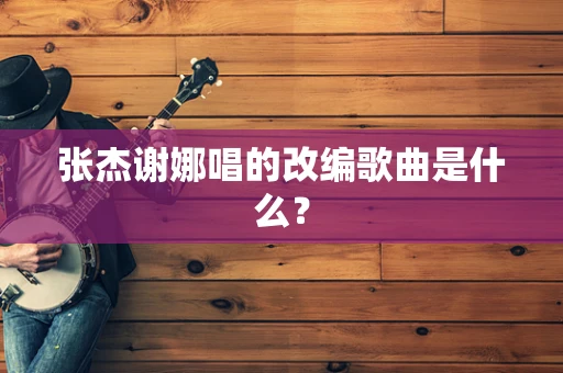 张杰谢娜唱的改编歌曲是什么？