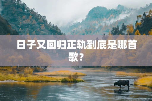 日子又回归正轨到底是哪首歌？