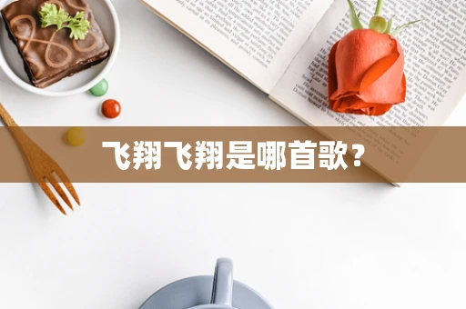 飞翔飞翔是哪首歌？