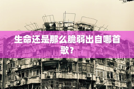 生命还是那么脆弱出自哪首歌？