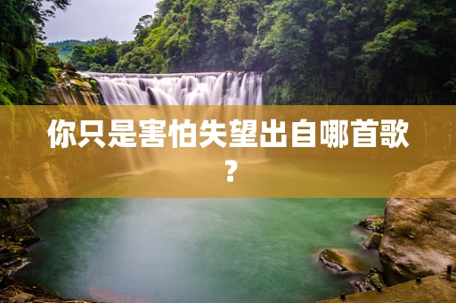 你只是害怕失望出自哪首歌？