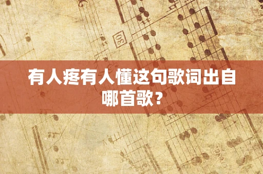 有人疼有人懂这句歌词出自哪首歌？