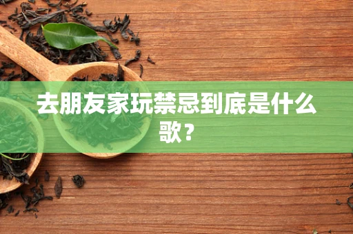 去朋友家玩禁忌到底是什么歌？