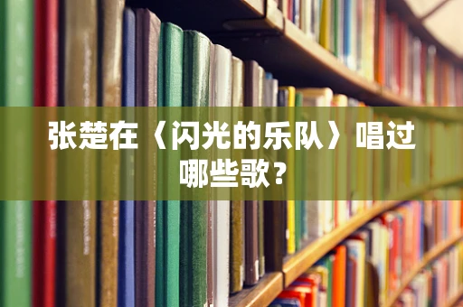 张楚在〈闪光的乐队〉唱过哪些歌？