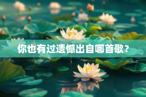 你也有过遗憾出自哪首歌？