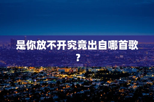 是你放不开究竟出自哪首歌？