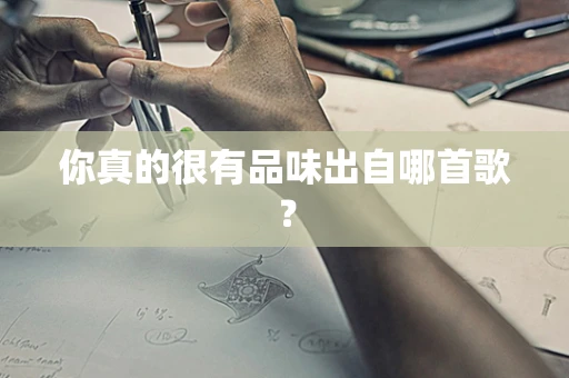 你真的很有品味出自哪首歌？
