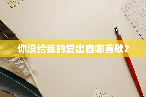 你没给我的爱出自哪首歌？