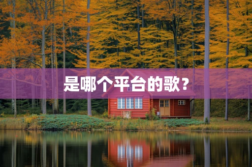 是哪个平台的歌？