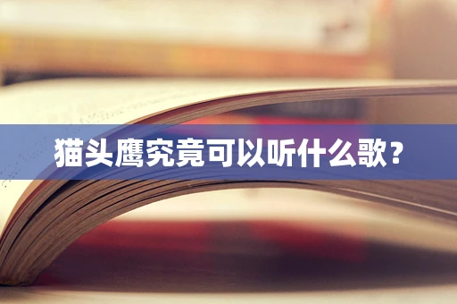 猫头鹰究竟可以听什么歌？