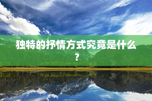 独特的抒情方式究竟是什么？