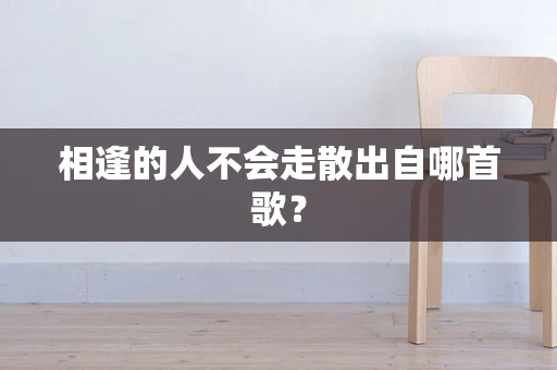 相逢的人不会走散出自哪首歌？