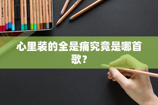 心里装的全是痛究竟是哪首歌？