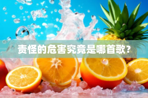 责怪的危害究竟是哪首歌？