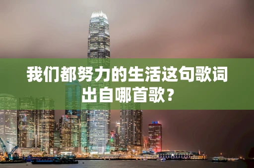 我们都努力的生活这句歌词出自哪首歌？