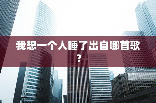 我想一个人睡了出自哪首歌？