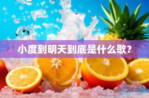 小度到明天到底是什么歌？