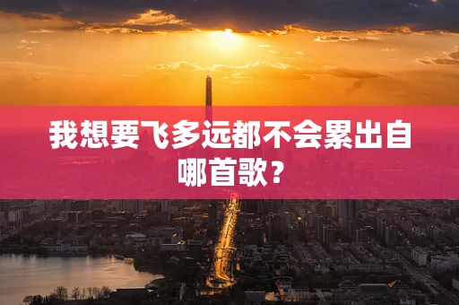 我想要飞多远都不会累出自哪首歌？