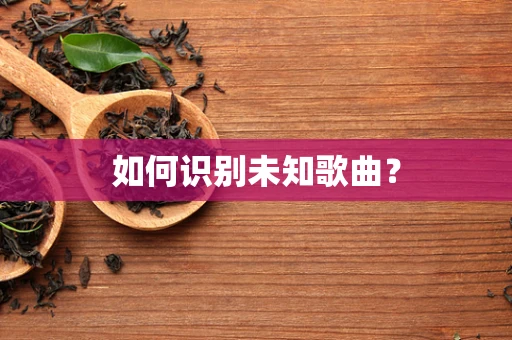 如何识别未知歌曲？