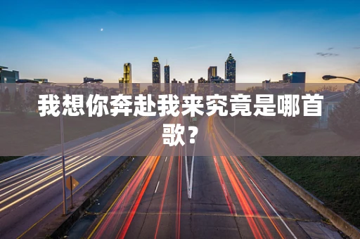 我想你奔赴我来究竟是哪首歌？
