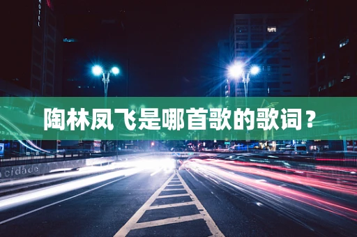 陶林凤飞是哪首歌的歌词？