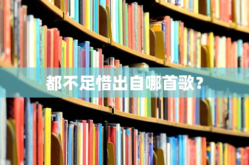 都不足惜出自哪首歌？