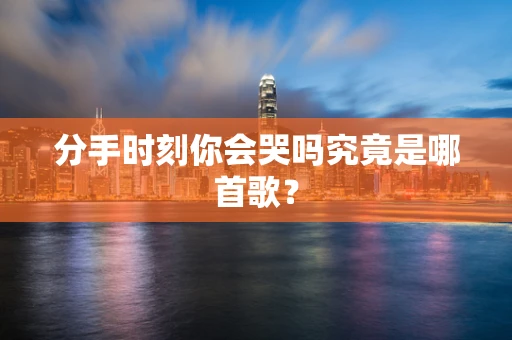 分手时刻你会哭吗究竟是哪首歌？