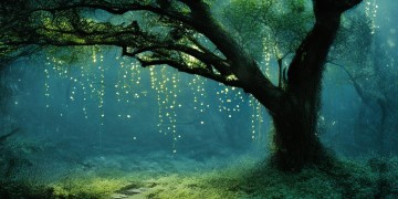 让你深夜未眠的人出自哪首歌？