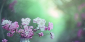 嗯哪嗯哪到底是哪首歌？