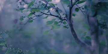 音色单薄适合唱什么歌好听？