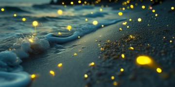 像萤火追逐着海浪出自哪首歌？