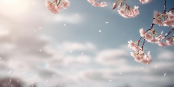 我能说她不美吗究竟是哪首歌？