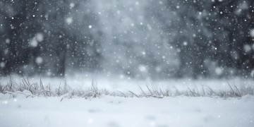 雪下得更猛烈些吧究竟是哪首歌？