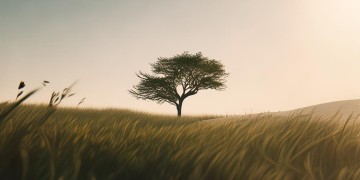 而我在颠沛之中出自哪首歌？