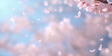 好好的珍惜出自哪首歌呢？