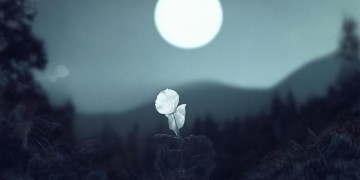 你都睡了我还在哭究竟是哪首歌？