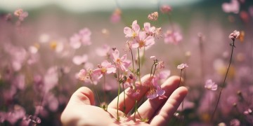 在手中开花笑究竟是什么歌？