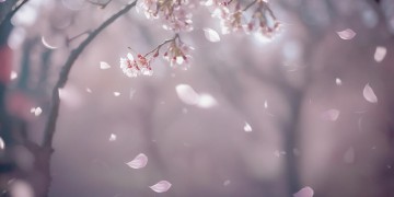 就算全世界都冷漠出自哪首歌？
